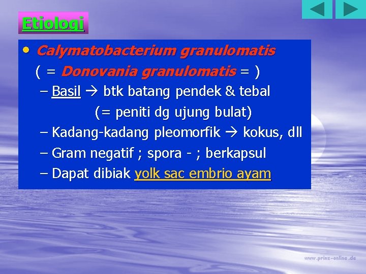 Etiologi • Calymatobacterium granulomatis ( = Donovania granulomatis = ) – Basil btk batang