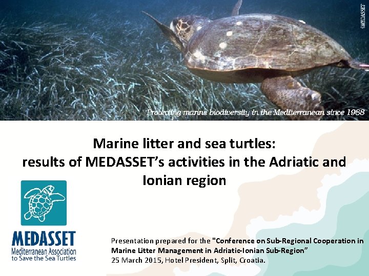 Marine litter and sea turtles: results of MEDASSET’s activities in the Adriatic and Ionian