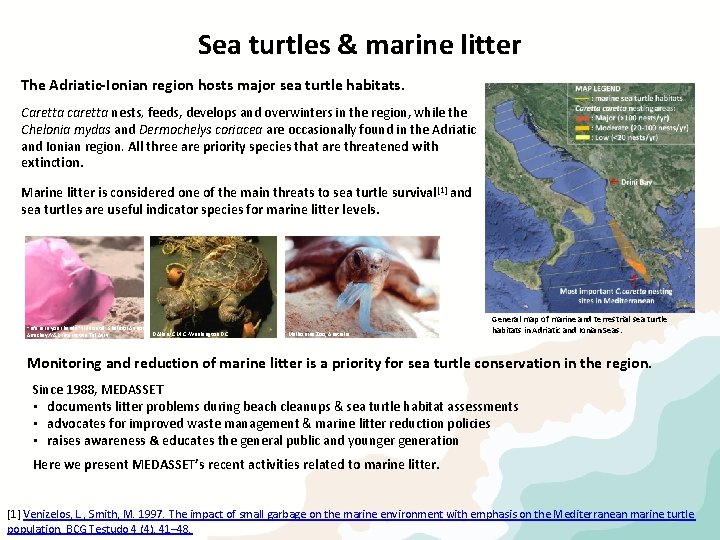 Sea turtles & marine litter The Adriatic-Ionian region hosts major sea turtle habitats. Caretta
