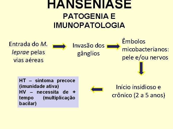 HANSENÍASE PATOGENIA E IMUNOPATOLOGIA Entrada do M. leprae pelas vias aéreas Invasão dos gânglios