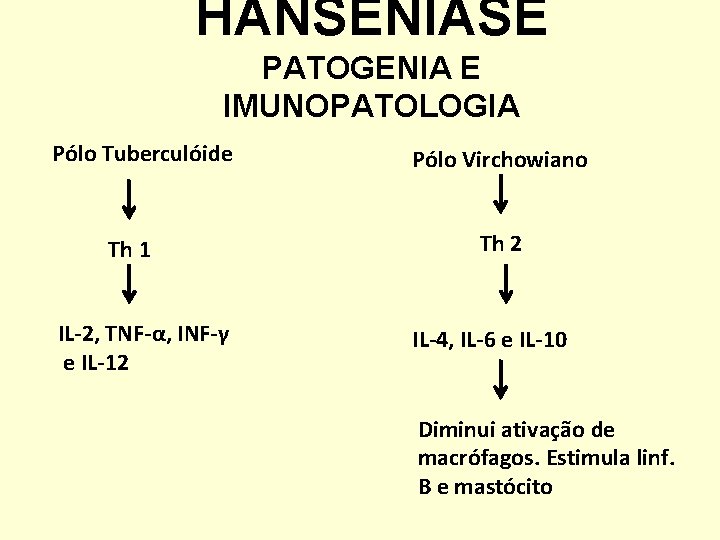 HANSENÍASE PATOGENIA E IMUNOPATOLOGIA Pólo Tuberculóide Th 1 IL-2, TNF-α, INF-γ e IL-12 Pólo