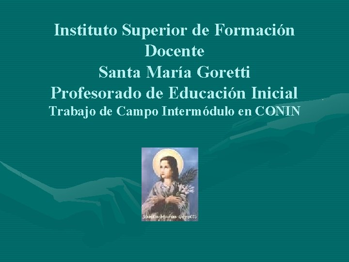 Instituto Superior de Formación Docente Santa María Goretti Profesorado de Educación Inicial Trabajo de