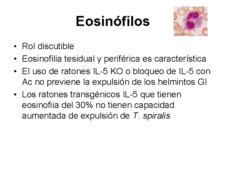 Eosinófilos • Rol discutible • Eosinofilia tesidual y periférica es característica • El uso