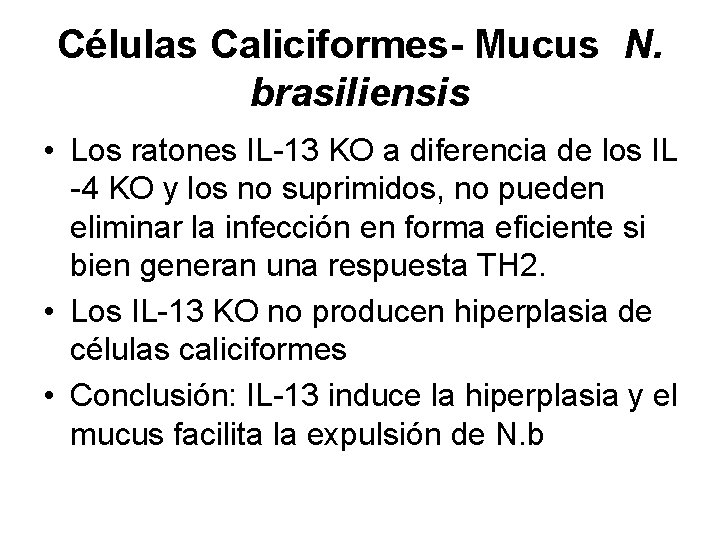Células Caliciformes- Mucus N. brasiliensis • Los ratones IL-13 KO a diferencia de los