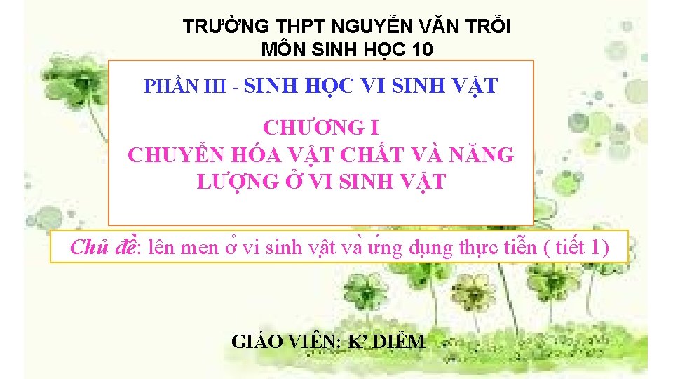 TRƯỜNG THPT NGUYỄN VĂN TRỖI MÔN SINH HỌC 10 PHẦN III - SINH HỌC