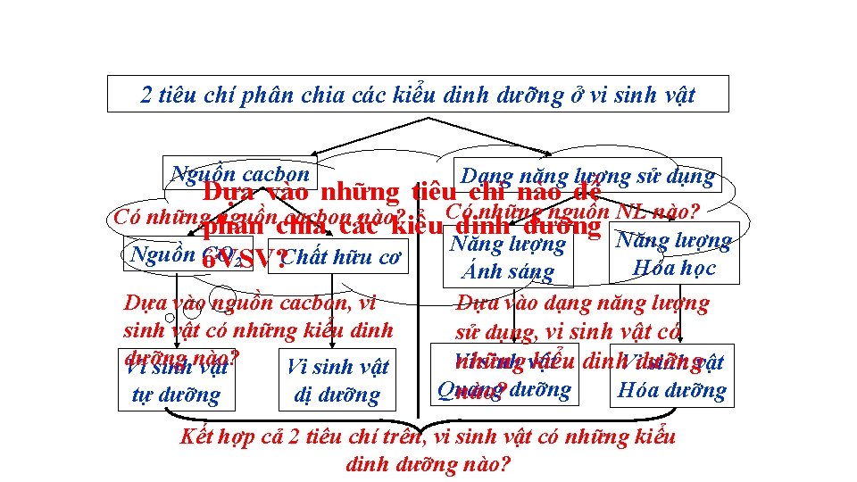 2 tiêu chí phân chia các kiểu dinh dưỡng ở vi sinh vật Nguồn