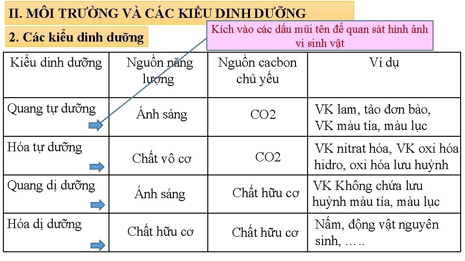 II. MÔI TRƯỜNG VÀ CÁC KIỂU DINH DƯỠNG 2. Các kiểu dinh dưỡng Kiểu