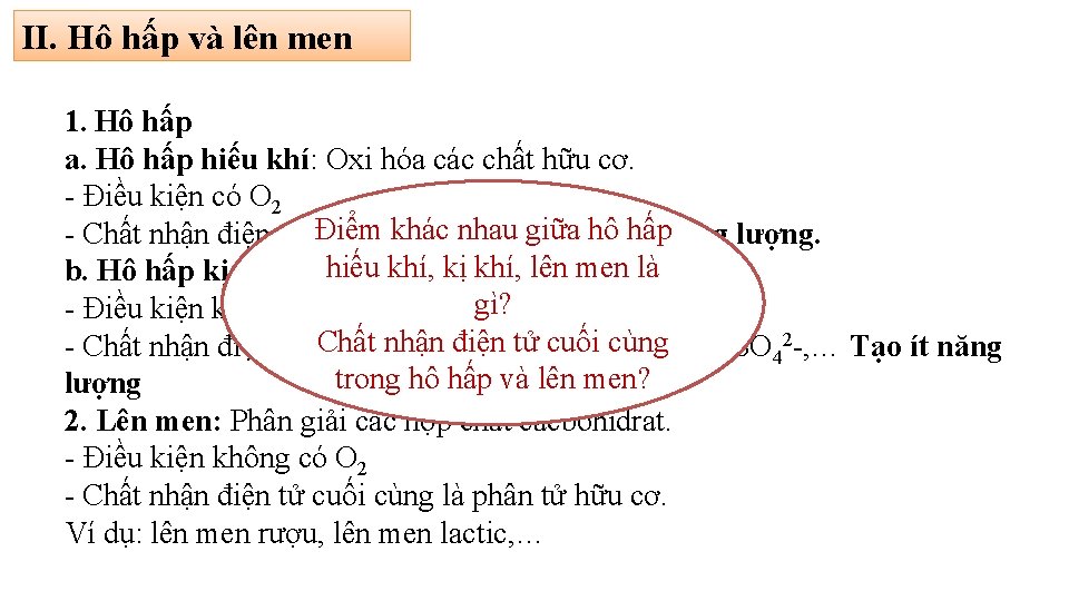 II. Hô hấp và lên men 1. Hô hấp a. Hô hấp hiếu khí: