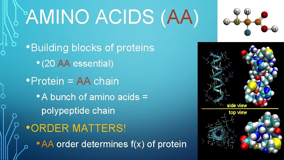 AMINO ACIDS (AA) • Building blocks of proteins • (20 AA essential) • Protein