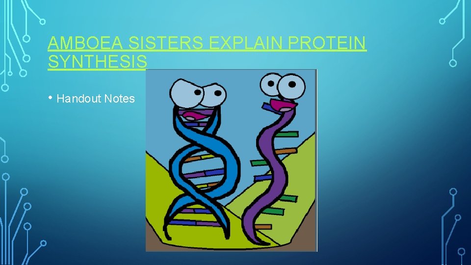 AMBOEA SISTERS EXPLAIN PROTEIN SYNTHESIS • Handout Notes 