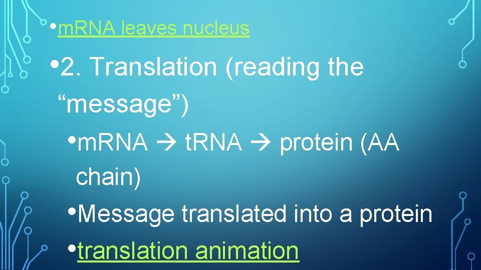  • m. RNA leaves nucleus • 2. Translation (reading the “message”) • m.