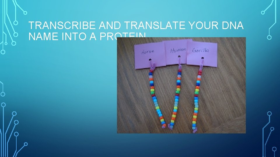 TRANSCRIBE AND TRANSLATE YOUR DNA NAME INTO A PROTEIN 