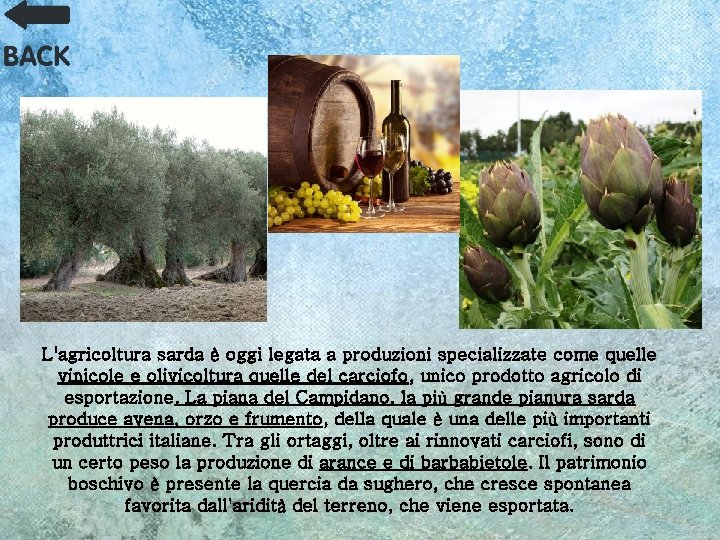 L'agricoltura sarda è oggi legata a produzioni specializzate come quelle vinicole e olivicoltura quelle