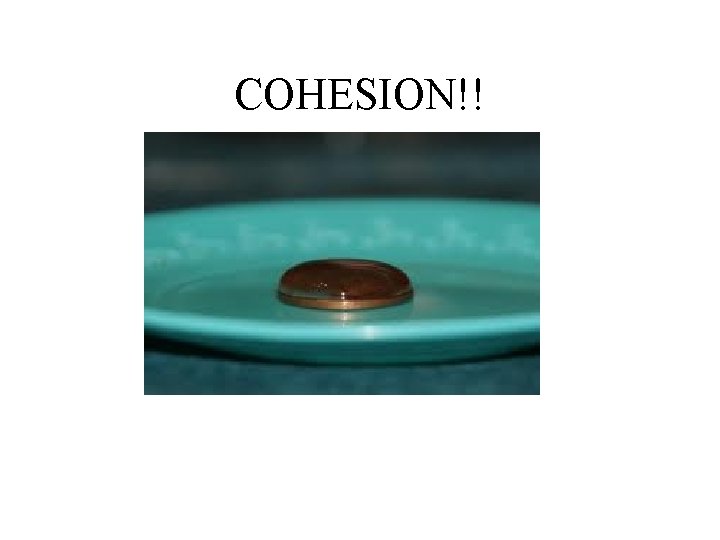 COHESION!! 