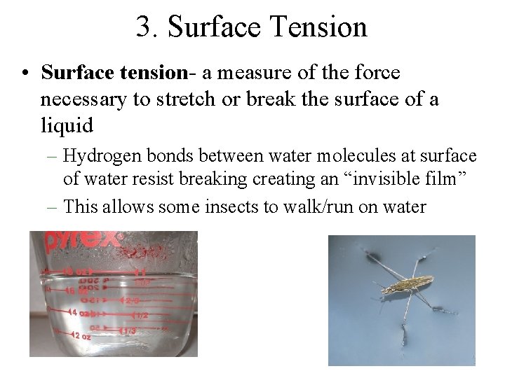 3. Surface Tension • Surface tension- a measure of the force necessary to stretch