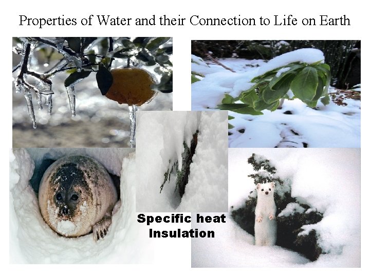 Properties of Water and their Connection to Life on Earth Specific heat Insulation 