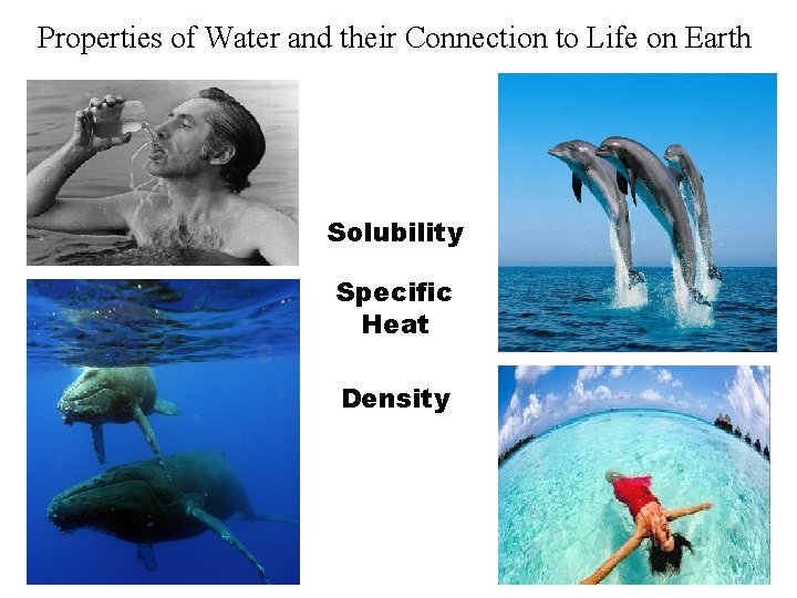 Properties of Water and their Connection to Life on Earth Solubility Specific Heat Density