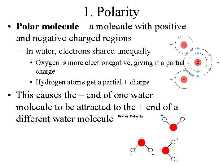 1. Polarity • Polar molecule – a molecule with positive and negative charged regions