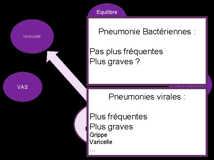 Equilibre Acidebase Immunité Pneumonie Bactériennes : Fonction Pas plus fréquentes Plus graves ? pulmonaires