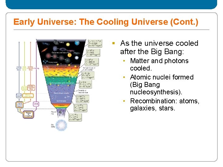 Early Universe: The Cooling Universe (Cont. ) § As the universe cooled after the