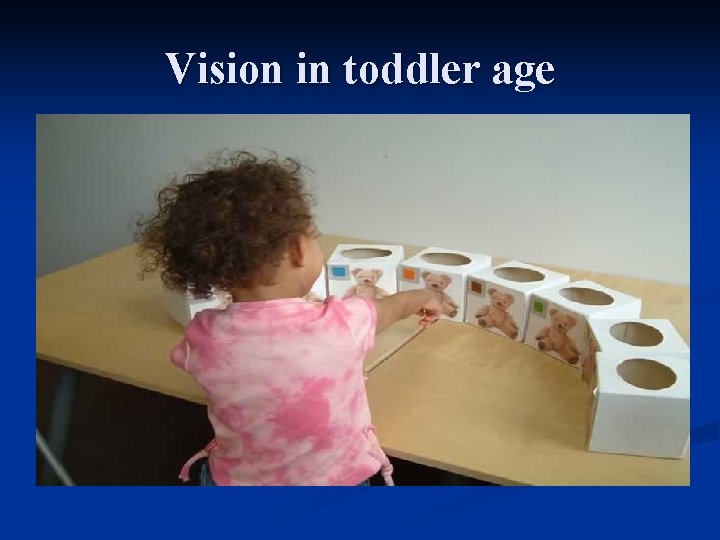 Vision in toddler age 