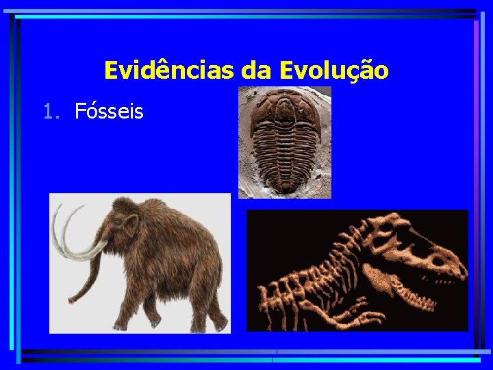 Evidências da Evolução 1. Fósseis 