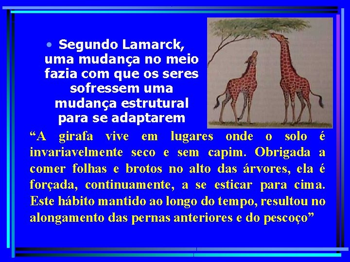  • Segundo Lamarck, uma mudança no meio fazia com que os seres sofressem