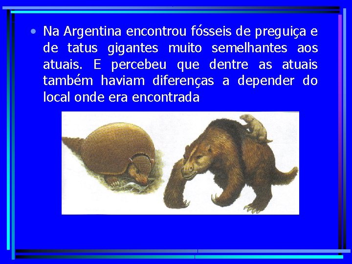  • Na Argentina encontrou fósseis de preguiça e de tatus gigantes muito semelhantes