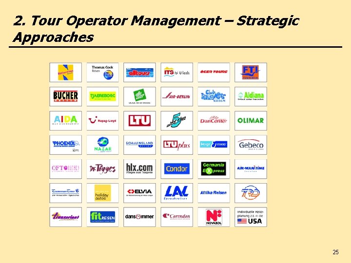 2. Tour Operator Management – Strategic Approaches 25 