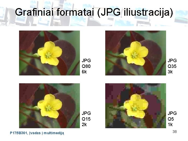 Grafiniai formatai (JPG iliustracija) P 175 B 301, Įvadas į multimediją JPG Q 80