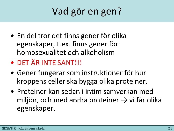 Vad gör en gen? • En del tror det finns gener för olika egenskaper,