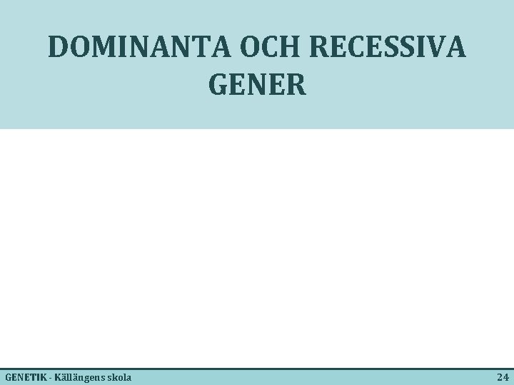 DOMINANTA OCH RECESSIVA GENER GENETIK - Källängens skola 24 