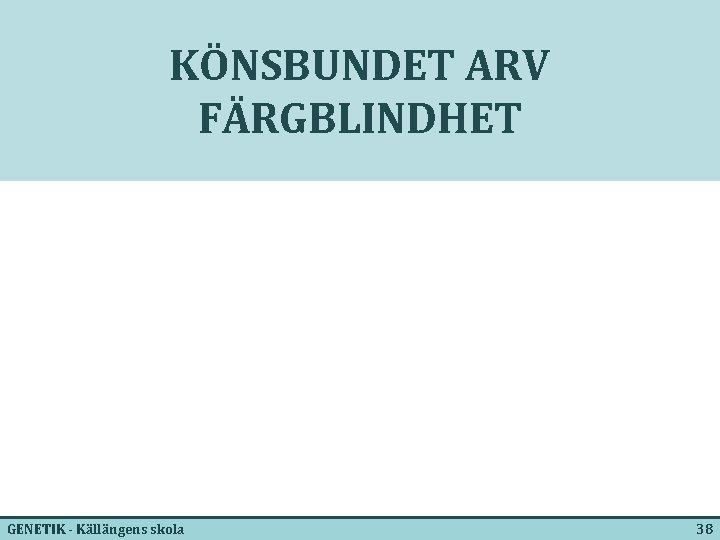 KÖNSBUNDET ARV FÄRGBLINDHET GENETIK - Källängens skola 38 