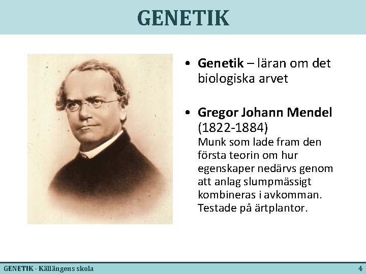 GENETIK • Genetik – läran om det biologiska arvet • Gregor Johann Mendel (1822