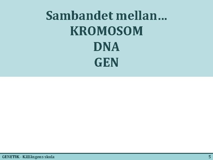 Sambandet mellan… KROMOSOM DNA GENETIK - Källängens skola 5 