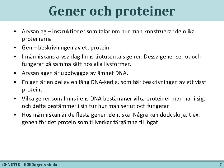 Gener och proteiner • Arvsanlag – instruktioner som talar om hur man konstruerar de