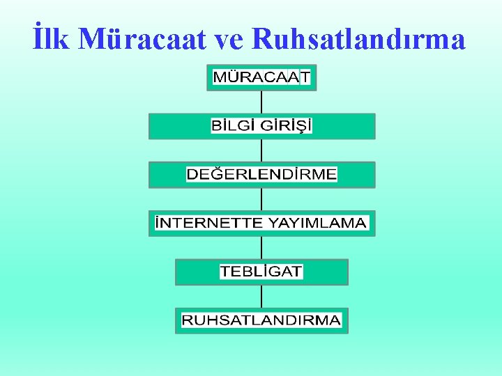 İlk Müracaat ve Ruhsatlandırma 