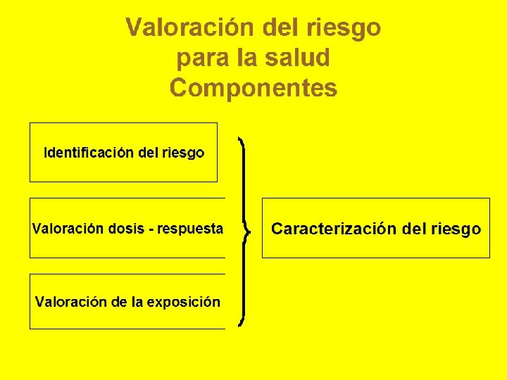 Valoración del riesgo para la salud Componentes Identificación del riesgo Valoración dosis - respuesta