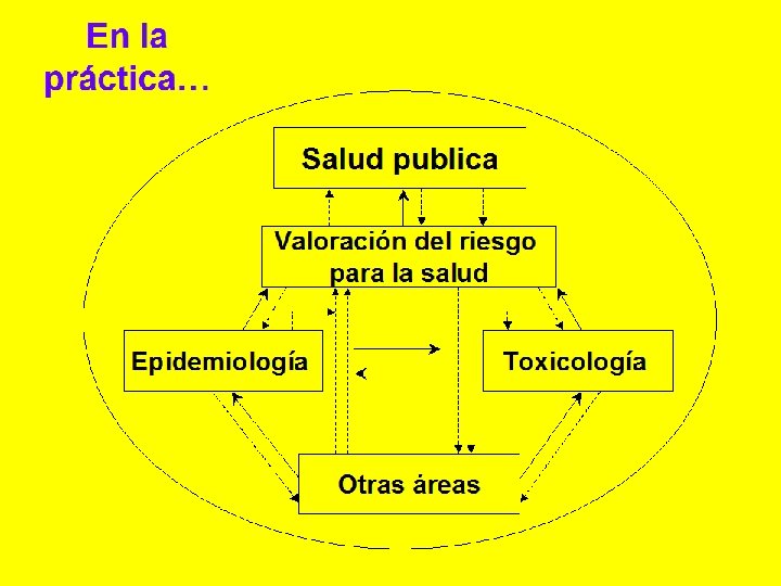 En la práctica… Salud publica Valoración del riesgo para la salud Epidemiología Toxicología Otras