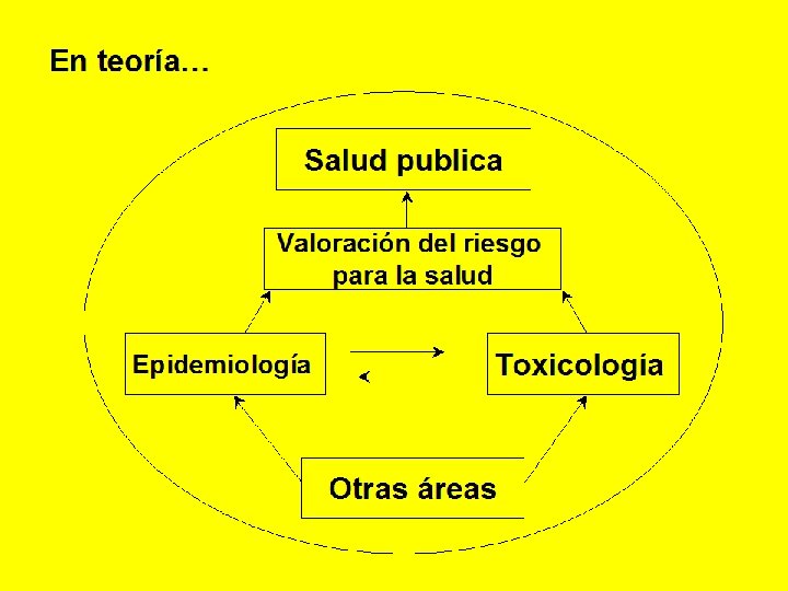 En teoría… Salud publica Valoración del riesgo para la salud Epidemiología Toxicología Otras áreas