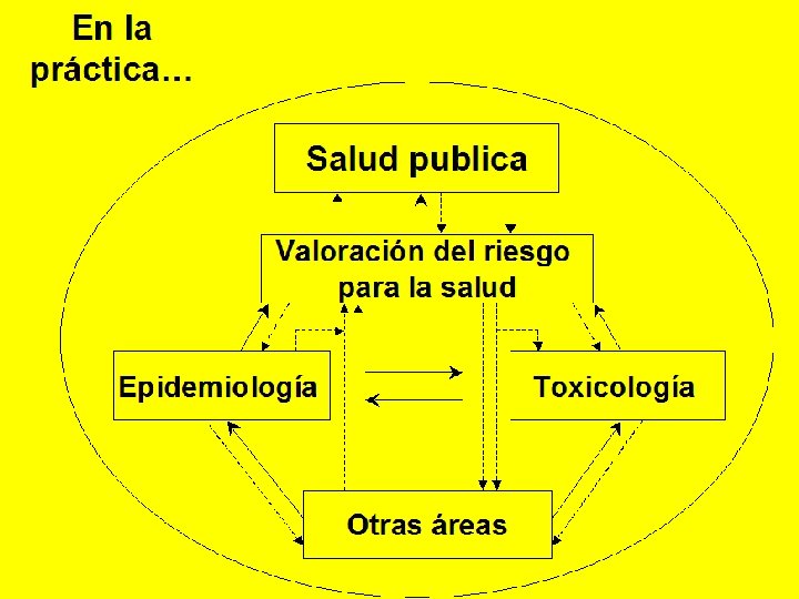 En la práctica… Salud publica Valoración del riesgo para la salud Epidemiología Toxicología Otras