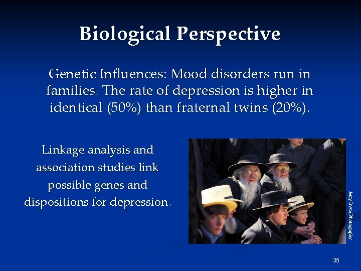 Biological Perspective Genetic Influences: Mood disorders run in families. The rate of depression is Biological Perspective Genetic Influences: Mood disorders run in families. The rate of depression is