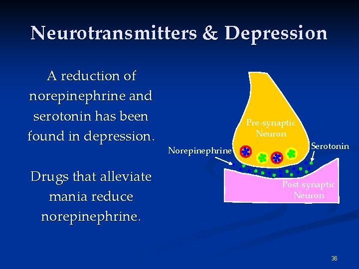 Neurotransmitters & Depression A reduction of norepinephrine and serotonin has been found in depression. Neurotransmitters & Depression A reduction of norepinephrine and serotonin has been found in depression.
