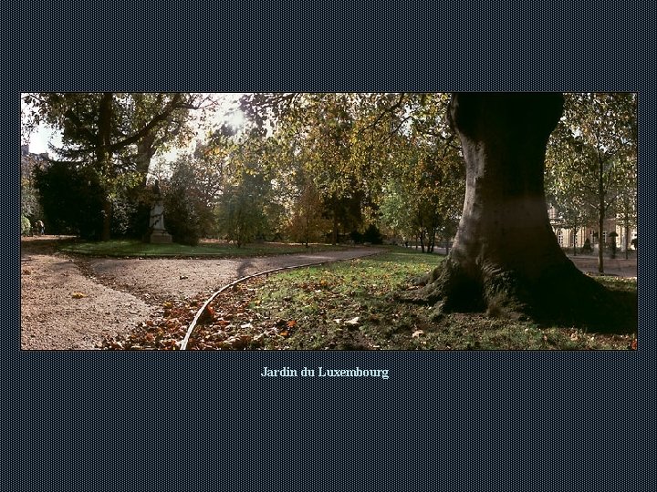 Jardin du Luxembourg Jardin du Luxembourg