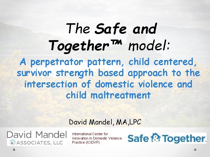 The Safe and Together™ model: A perpetrator pattern, child centered, survivor strength based approach