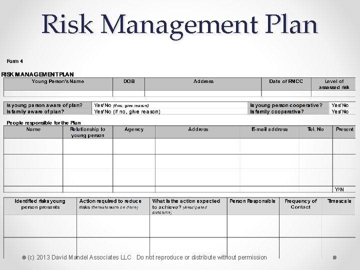 Risk Management Plan (c) 2013 David Mandel Associates LLC Do not reproduce or distribute