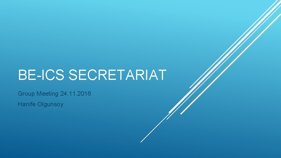 BE-ICS SECRETARIAT Group Meeting 24. 11. 2016 Hanife Olgunsoy 