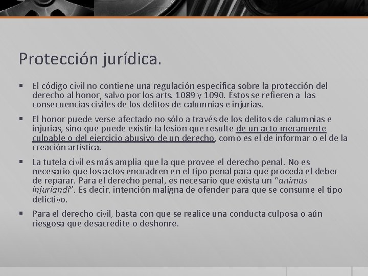 Protección jurídica. § El código civil no contiene una regulación específica sobre la protección