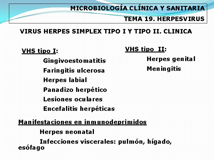 MICROBIOLOGÍA CLÍNICA Y SANITARIA TEMA 19. HERPESVIRUS HERPES SIMPLEX TIPO I Y TIPO II.