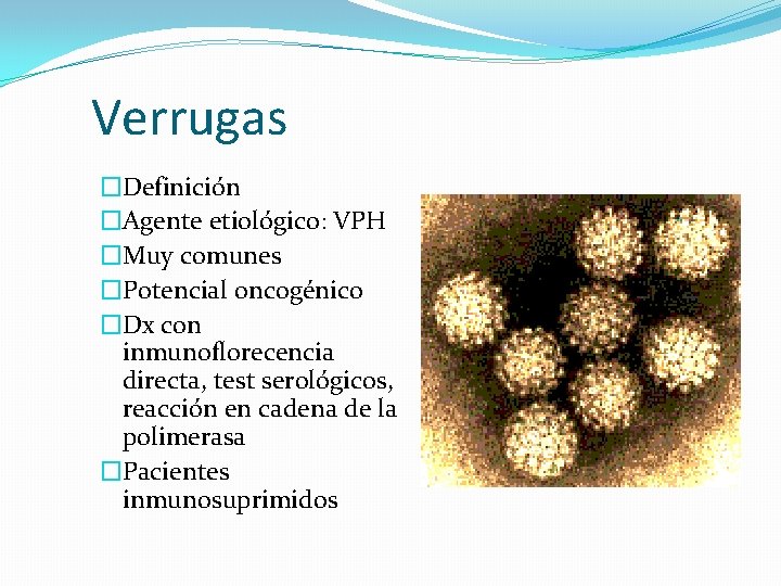 Verrugas �Definición �Agente etiológico: VPH �Muy comunes �Potencial oncogénico �Dx con inmunoflorecencia directa, test